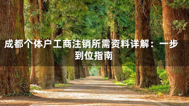 成都个体户工商注销所需资料详解：一步到位指南