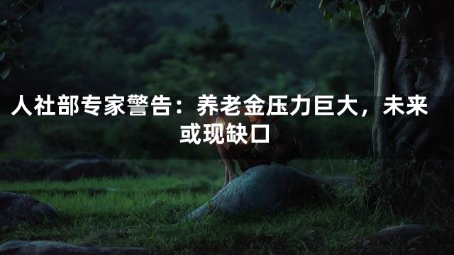 人社部专家警告：养老金压力巨大，未来或现缺口