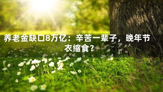 养老金缺口8万亿：辛苦一辈子，晚年节衣缩食？