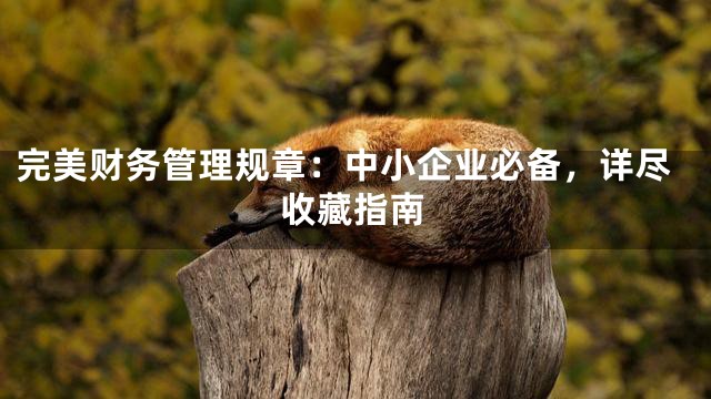 完美财务管理规章：中小企业必备，详尽收藏指南