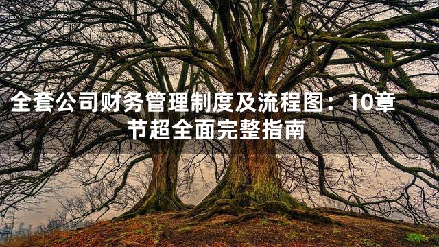 全套公司财务管理制度及流程图：10章节超全面完整指南