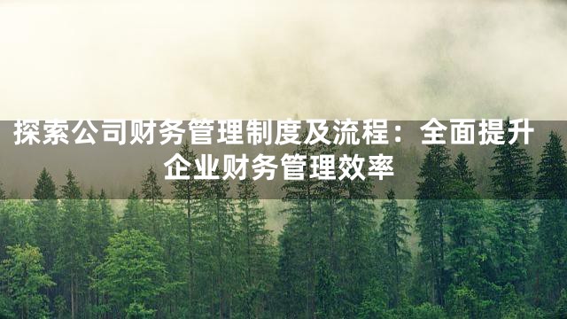 探索公司财务管理制度及流程：全面提升企业财务管理效率