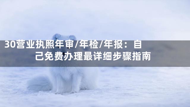 30

营业执照年审/年检/年报：自己免费办理最详细步骤指南