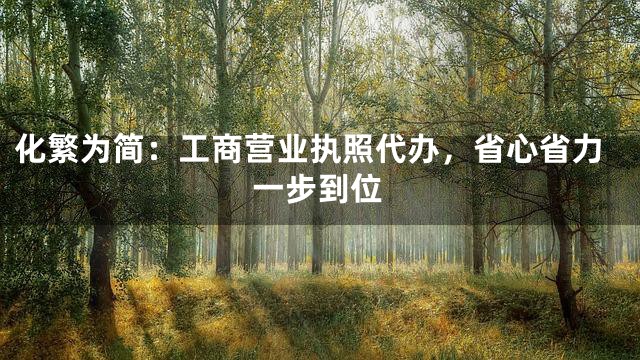 化繁为简：工商营业执照代办，省心省力一步到位