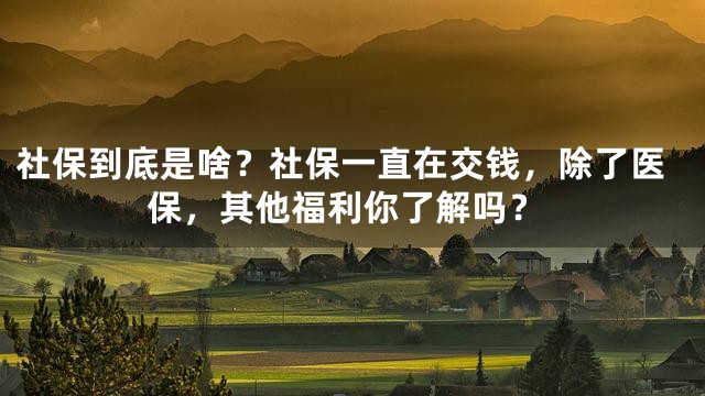 社保到底是啥？社保一直在交钱，除了医保，其他福利你了解吗？