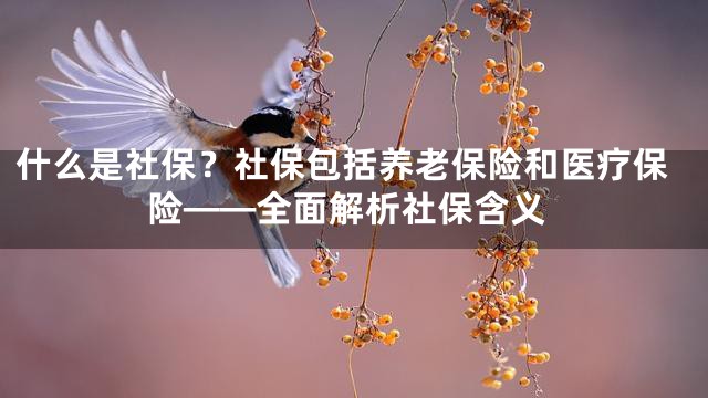 什么是社保？社保包括养老保险和医疗保险——全面解析社保含义