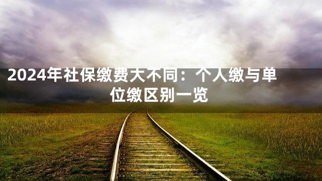 2024年社保缴费大不同：个人缴与单位缴区别一览
