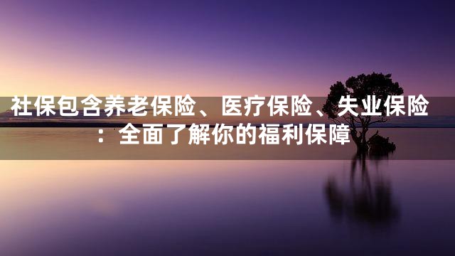 社保包含养老保险、医疗保险、失业保险：全面了解你的福利保障