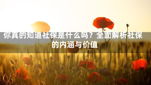 你真的知道社保是什么吗？全面解析社保的内涵与价值