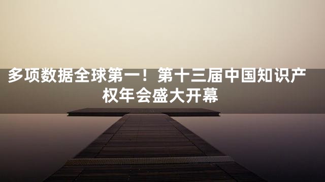 多项数据全球第一！第十三届中国知识产权年会盛大开幕
