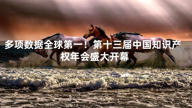 多项数据全球第一！第十三届中国知识产权年会盛大开幕