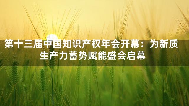 第十三届中国知识产权年会开幕：为新质生产力蓄势赋能盛会启幕