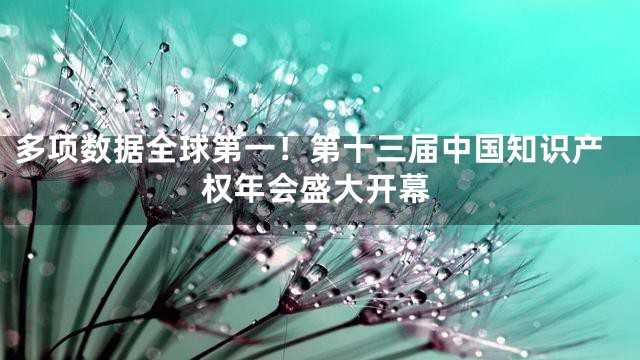 多项数据全球第一！第十三届中国知识产权年会盛大开幕