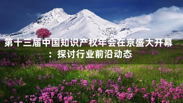 第十三届中国知识产权年会在京盛大开幕：探讨行业前沿动态