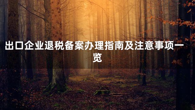 出口企业退税备案办理指南及注意事项一览