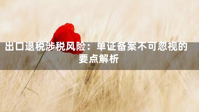 出口退税涉税风险：单证备案不可忽视的要点解析