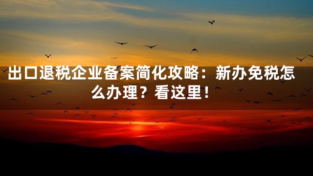 出口退税企业备案简化攻略：新办免税怎么办理？看这里！