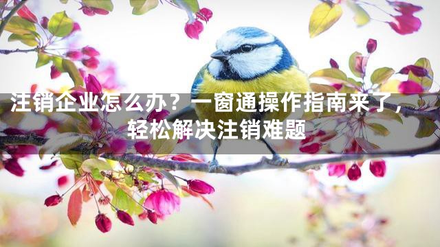 注销企业怎么办？一窗通操作指南来了，轻松解决注销难题