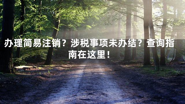 办理简易注销？涉税事项未办结？查询指南在这里！