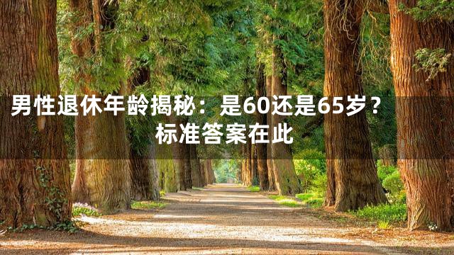 男性退休年龄揭秘：是60还是65岁？标准答案在此
