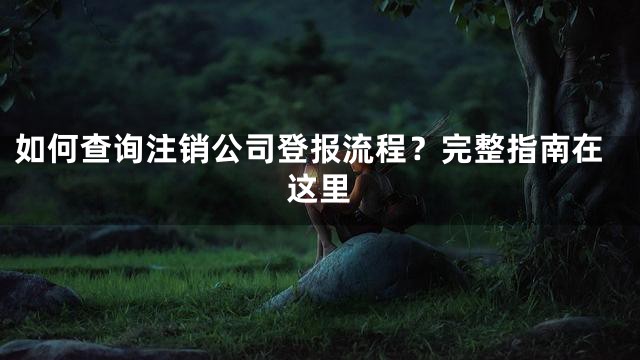 如何查询注销公司登报流程？完整指南在这里
