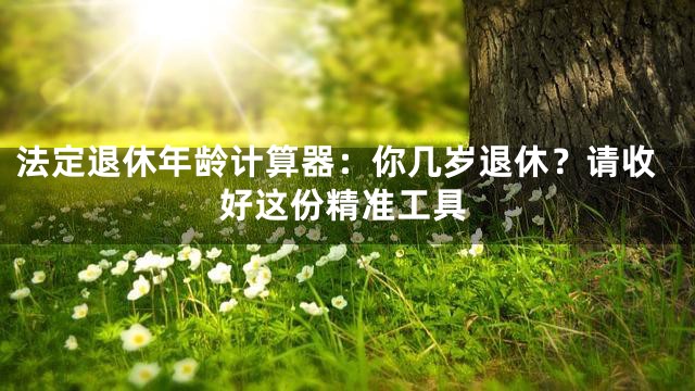 法定退休年龄计算器：你几岁退休？请收好这份精准工具
