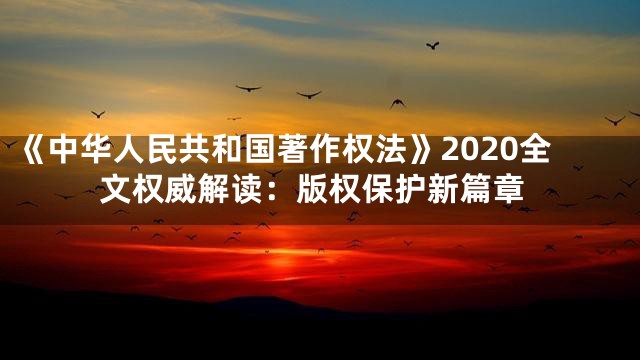 《中华人民共和国著作权法》2020全文权威解读：版权保护新篇章