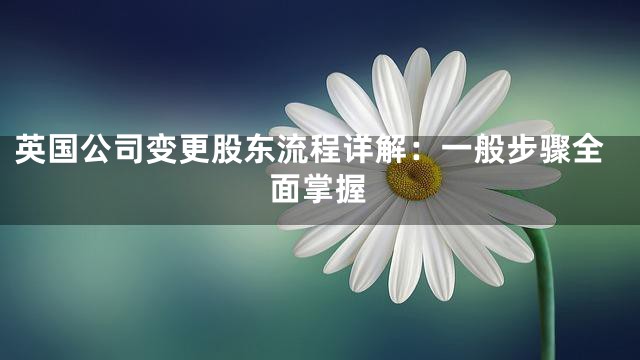 英国公司变更股东流程详解：一般步骤全面掌握