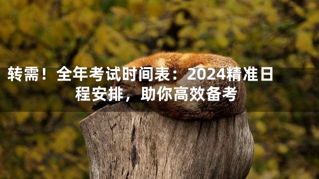 转需！全年考试时间表：2024精准日程安排，助你高效备考