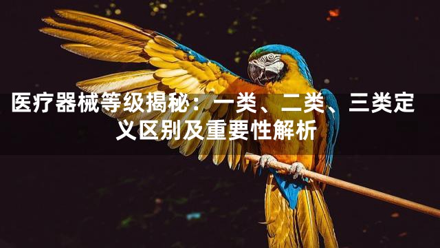 医疗器械等级揭秘：一类、二类、三类定义区别及重要性解析