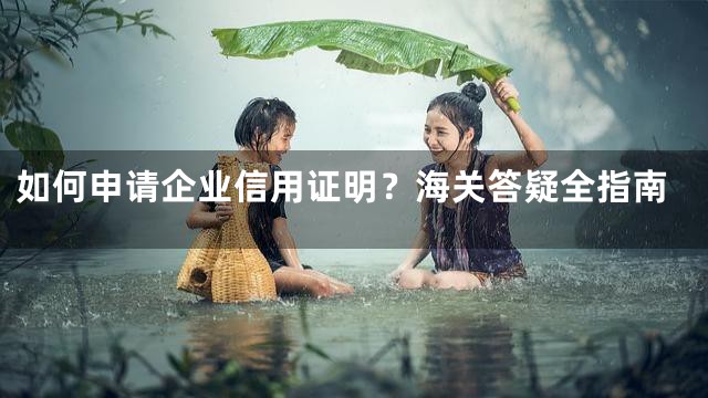 如何申请企业信用证明？海关答疑全指南