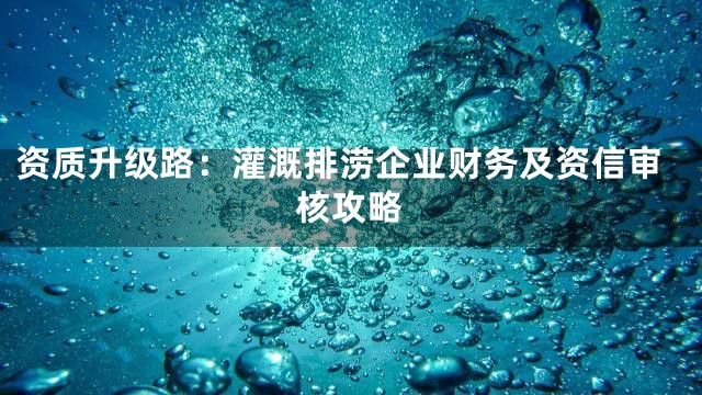 资质升级路：灌溉排涝企业财务及资信审核攻略