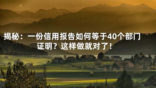 揭秘：一份信用报告如何等于40个部门证明？这样做就对了！