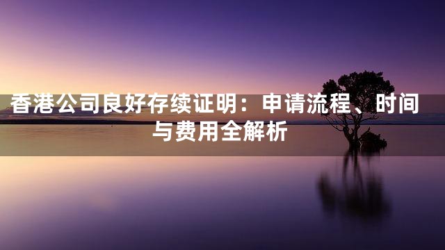 香港公司良好存续证明：申请流程、时间与费用全解析