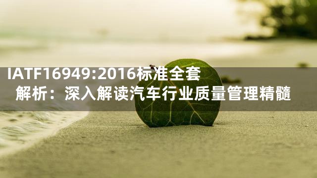 IATF16949:2016标准全套解析：深入解读汽车行业质量管理精髓