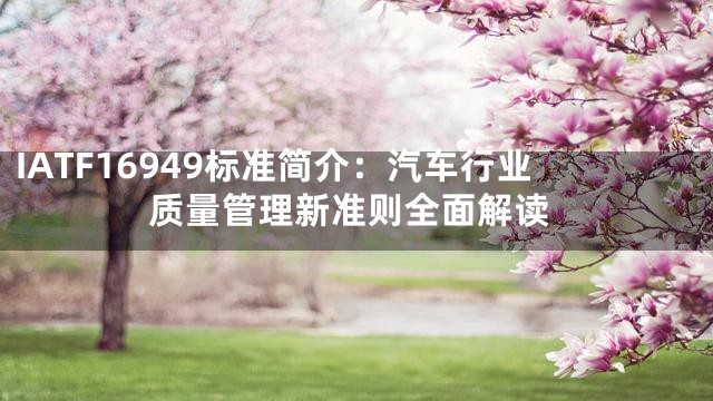 IATF16949标准简介：汽车行业质量管理新准则全面解读