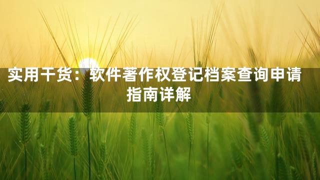 实用干货：软件著作权登记档案查询申请指南详解