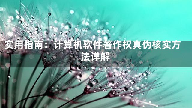 实用指南：计算机软件著作权真伪核实方法详解