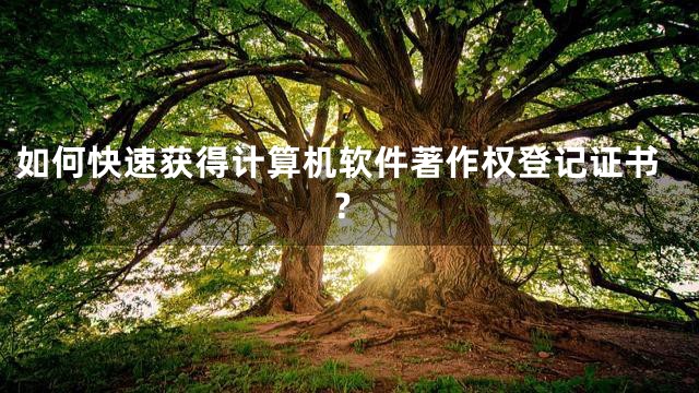 如何快速获得计算机软件著作权登记证书？