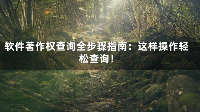 软件著作权查询全步骤指南：这样操作轻松查询！