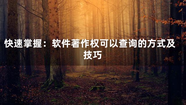快速掌握：软件著作权可以查询的方式及技巧