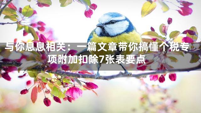 与你息息相关：一篇文章带你搞懂个税专项附加扣除7张表要点
