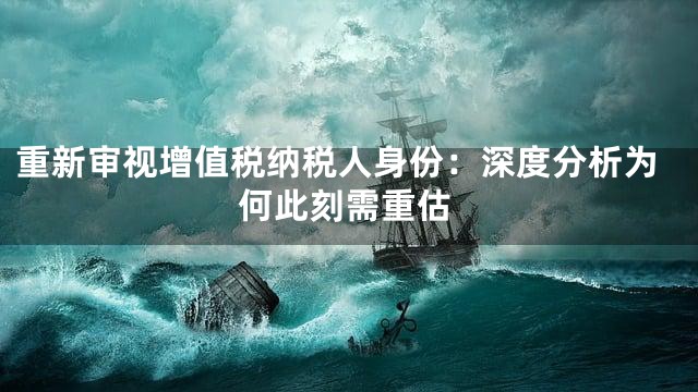 重新审视增值税纳税人身份：深度分析为何此刻需重估