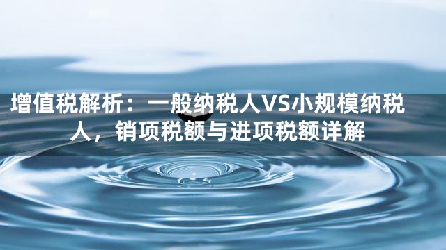 增值税解析：一般纳税人VS小规模纳税人，销项税额与进项税额详解