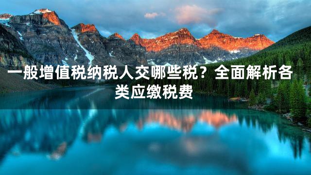 一般增值税纳税人交哪些税？全面解析各类应缴税费