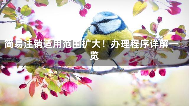 简易注销适用范围扩大！办理程序详解一览
