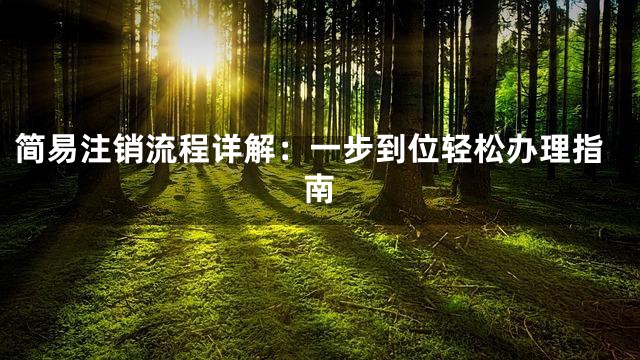 简易注销流程详解：一步到位轻松办理指南