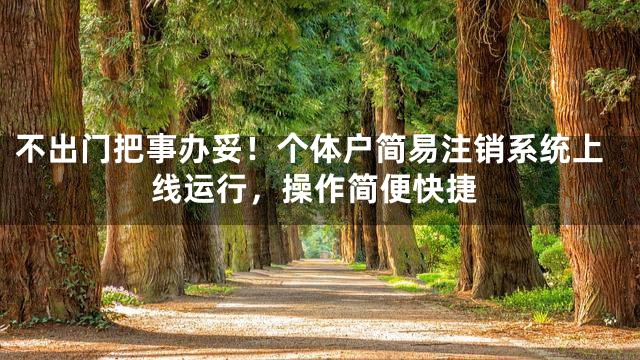 不出门把事办妥！个体户简易注销系统上线运行，操作简便快捷