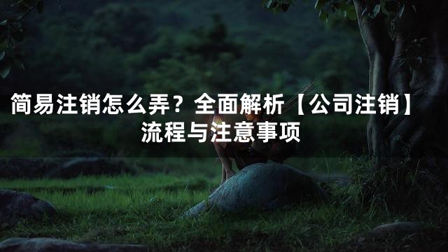 简易注销怎么弄？全面解析【公司注销】流程与注意事项