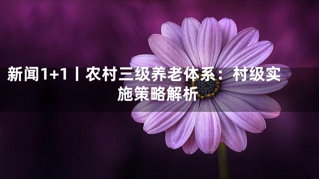 新闻1+1丨农村三级养老体系：村级实施策略解析